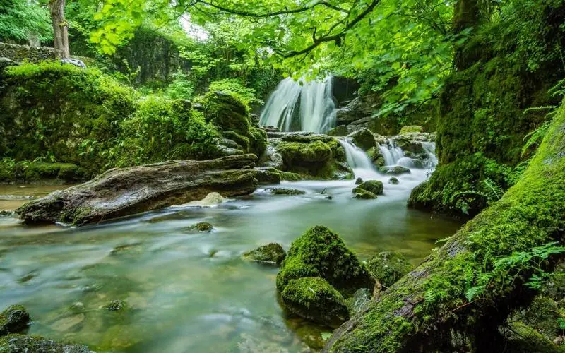 绿色智能高端